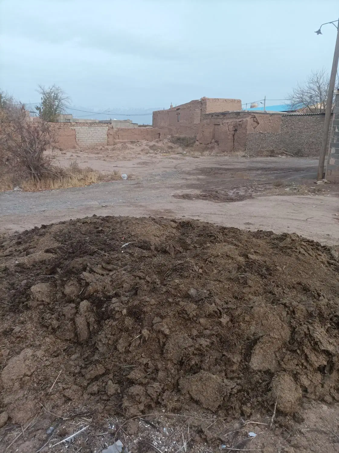 کود بوقلمون|خدمات باغبانی و درختکاری|نیشابور, ریوند|دیوار