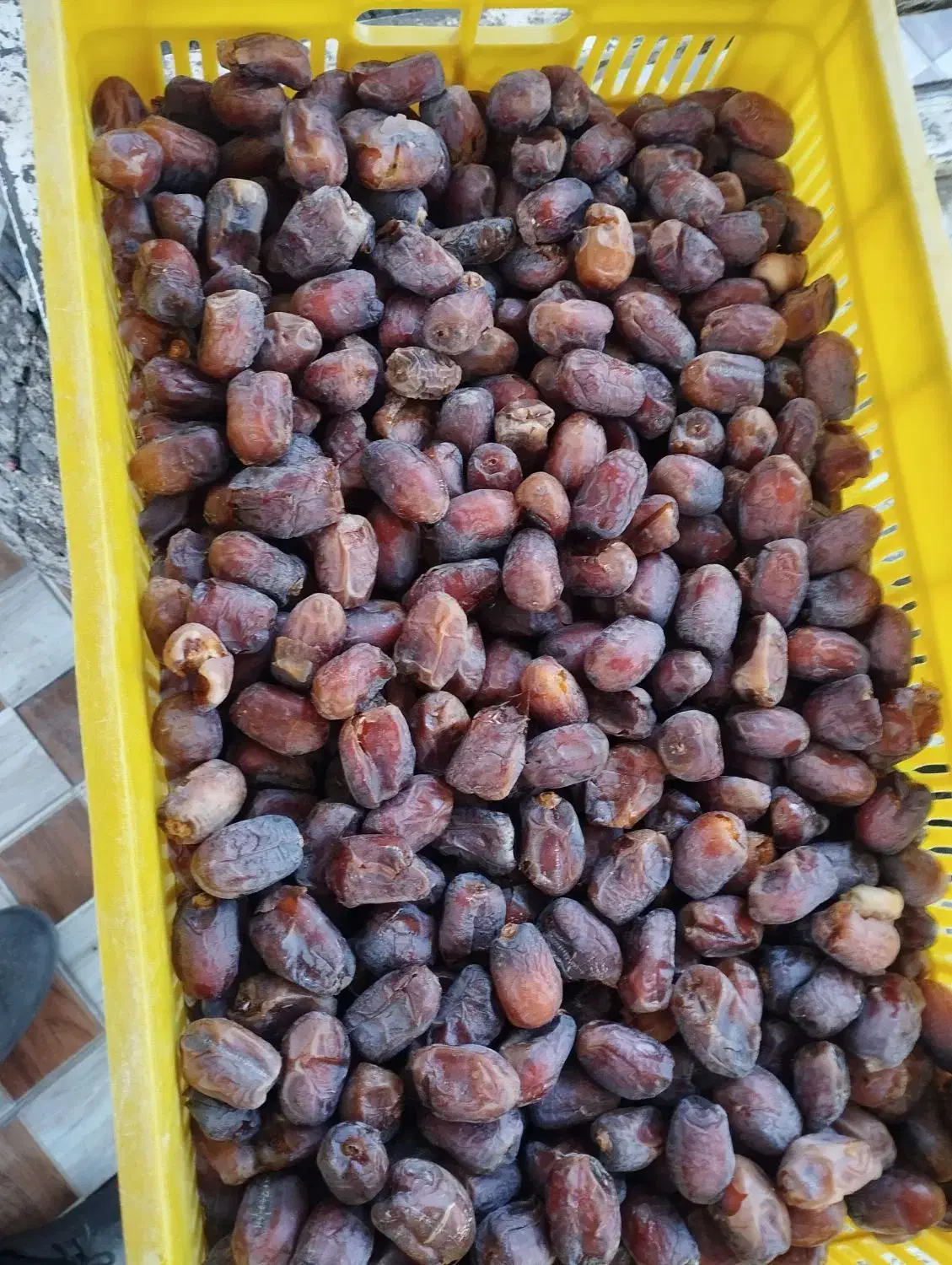 خرما کروت|خوردنی و آشامیدنی|بم, |دیوار