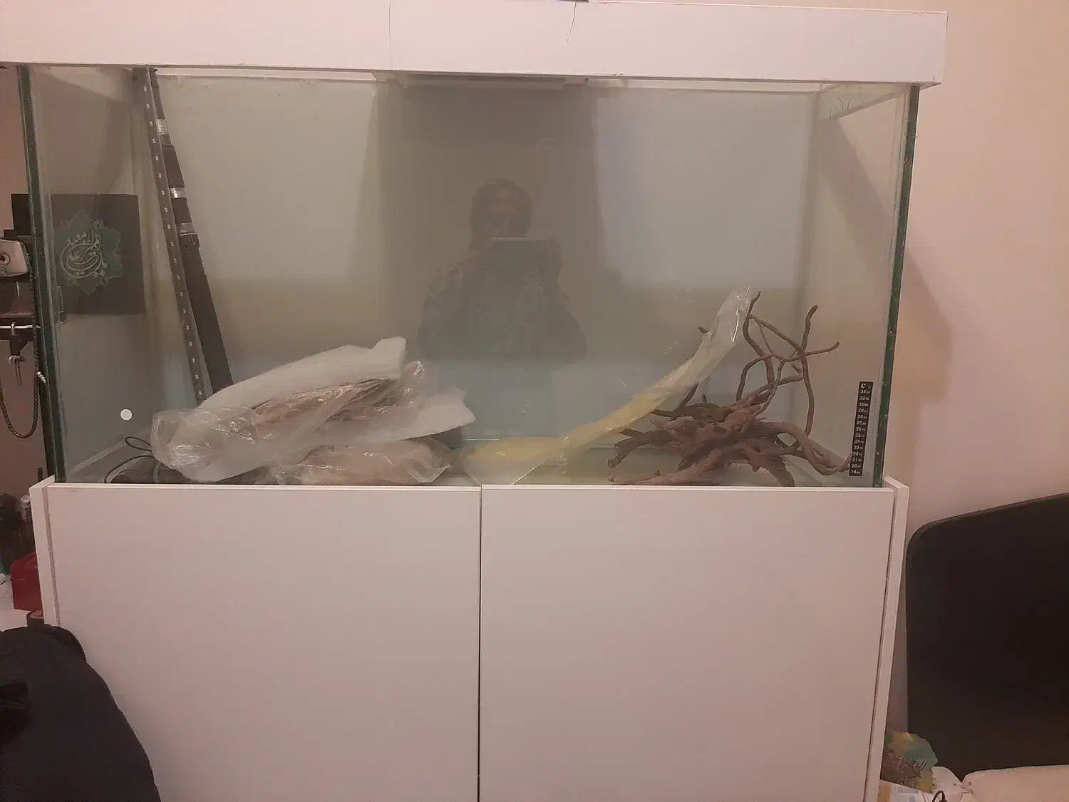 آکواریوم ماهی|ماهی|تهران, مجیدآباد|دیوار