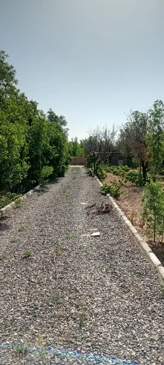 تصویر 9