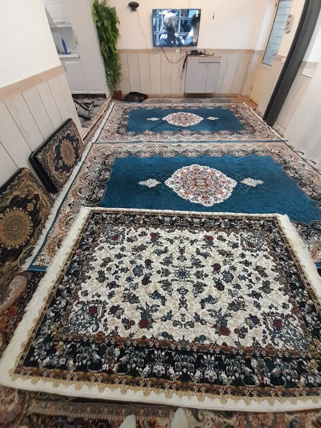 فرش ۹ متری|فرش|ایلام, |دیوار