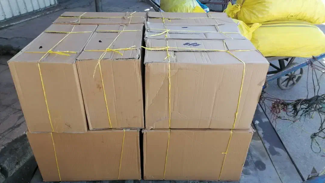 عسل کندو|عمدهفروشی|شیراز, زرهی|دیوار