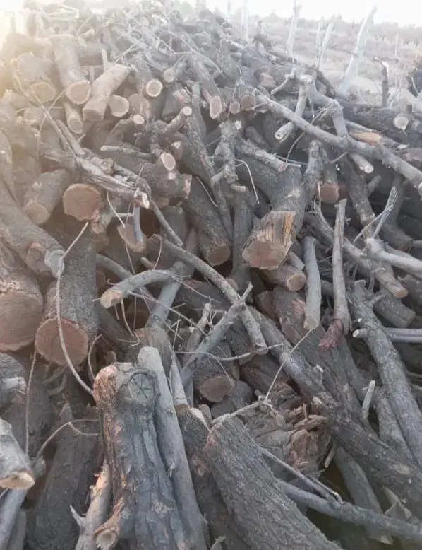 خریدار چوب|خدمات باغبانی و درختکاری|اهر, |دیوار