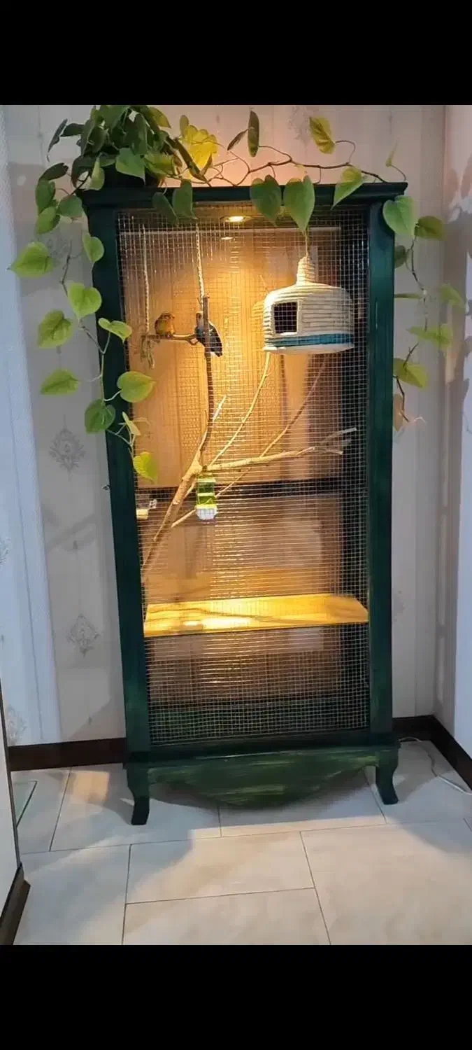 ویترین قفس پرنده|لوازم جانبی حیوانات|تهران, خواجه نصیر طوسی|دیوار