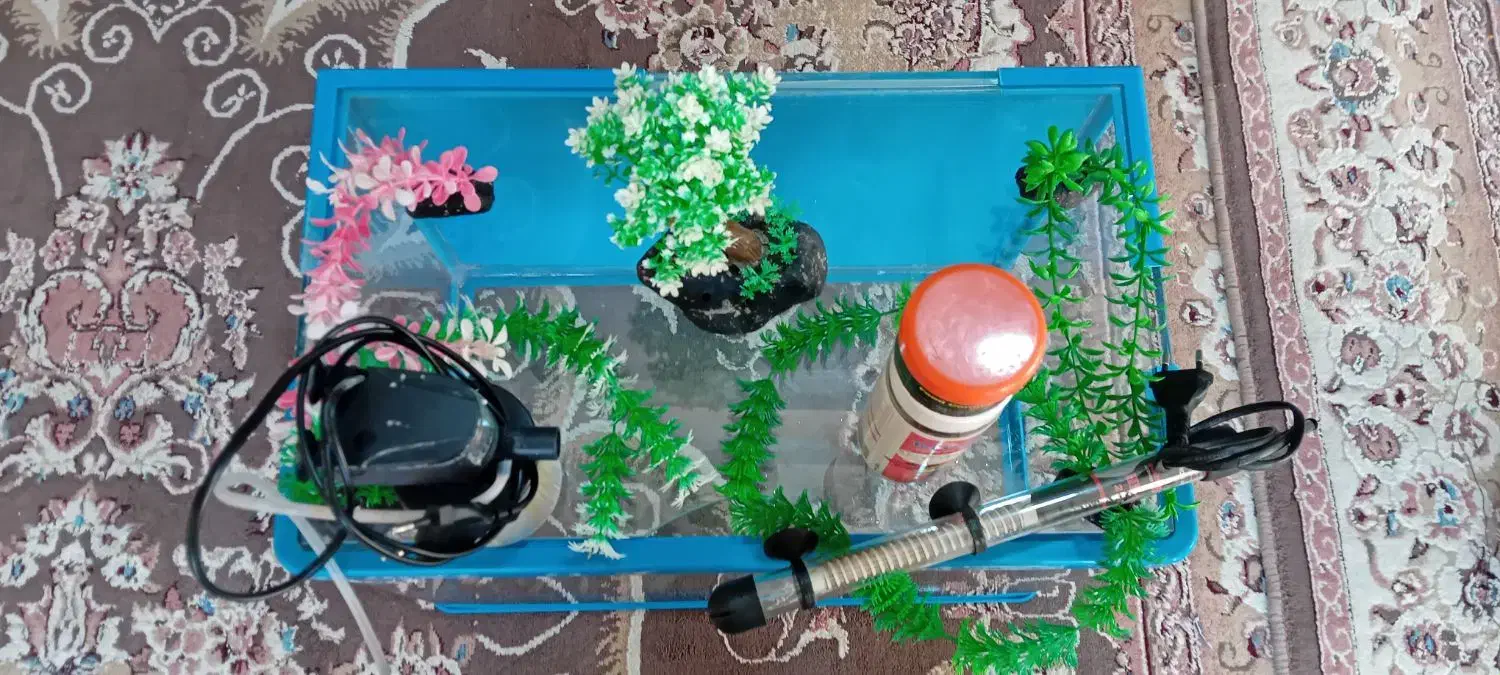 اکواریوم با لوازم|ماهی|بروجرد, |دیوار