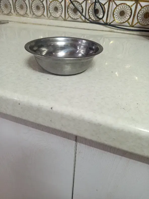 کاسه سوپ خوری|ظروف سرو و پذیرایی|کرمان, |دیوار