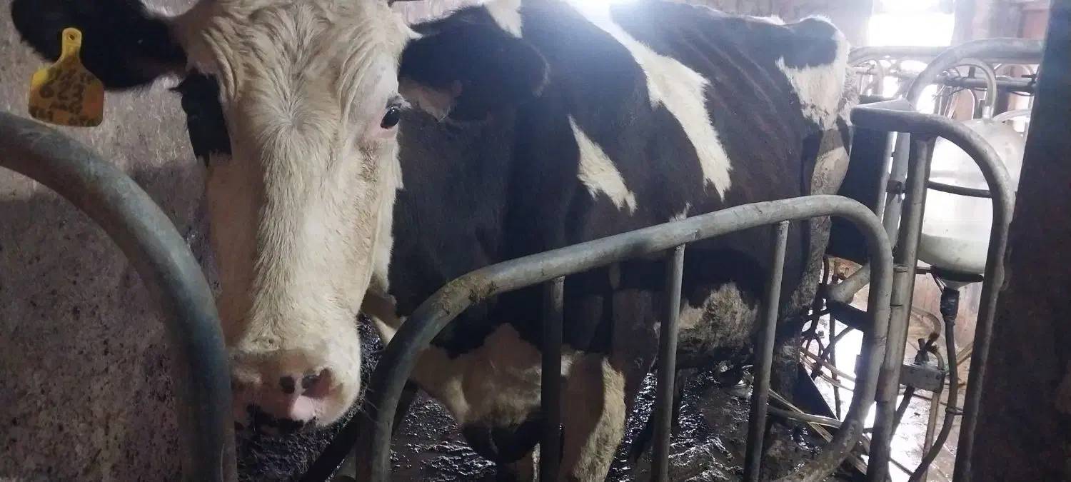 به یک کارگر ساده نیازمندیم|استخدام صنعتی، فنی، مهندسی|گلبهار, شهر جدید گلبهار|دیوار