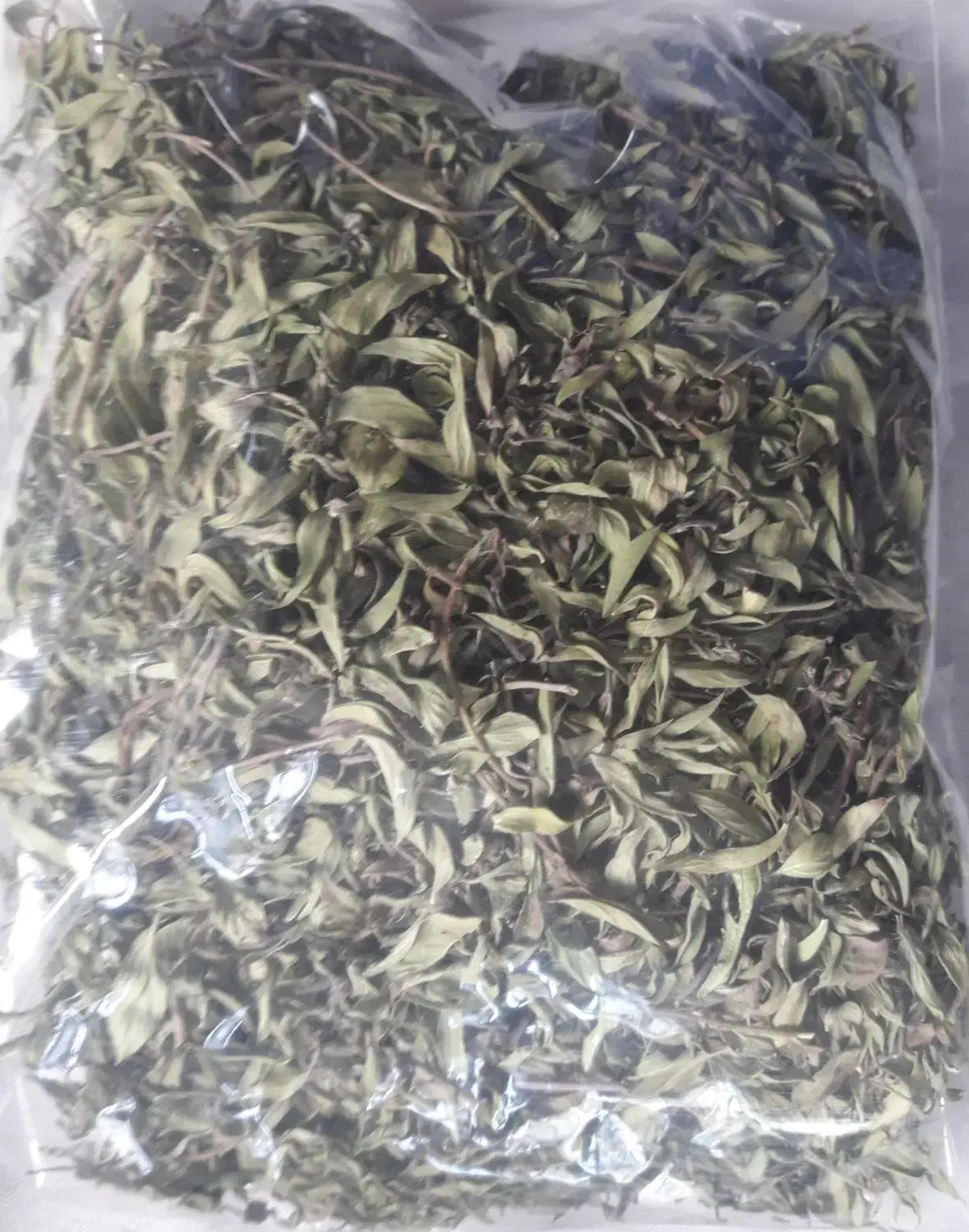 زیره کوهی وآنوخ یا چای کوهی و آویشن از کوهای بینال|گل و گیاه طبیعی|مشهد, شهرک ابوذر|دیوار