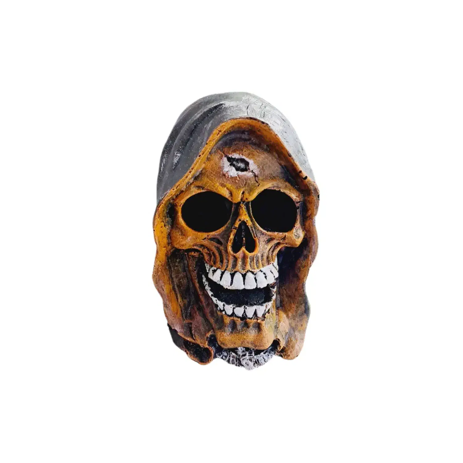 جمجمه آکواریوم ماهی تزئینی چند مدل|ماهی|مشهد, نیزه|دیوار