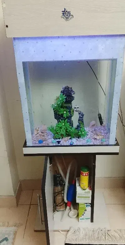 اکواریوم|ماهی|کهریزک, |دیوار