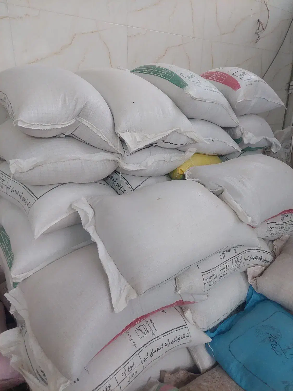 تریتکاله بذر  امریکایی اوکراینی|خدمات باغبانی و درختکاری|گنبد کاووس, |دیوار