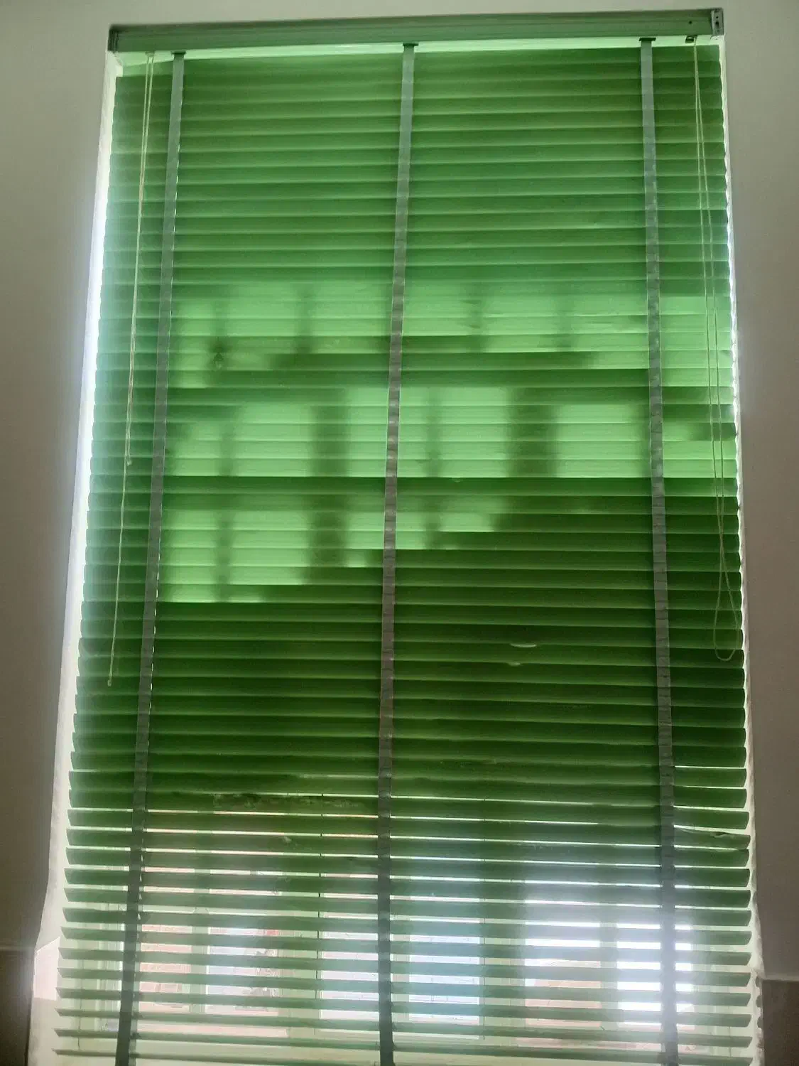 پرده اتاق|پرده، رانر، رومیزی|جهرم, |دیوار