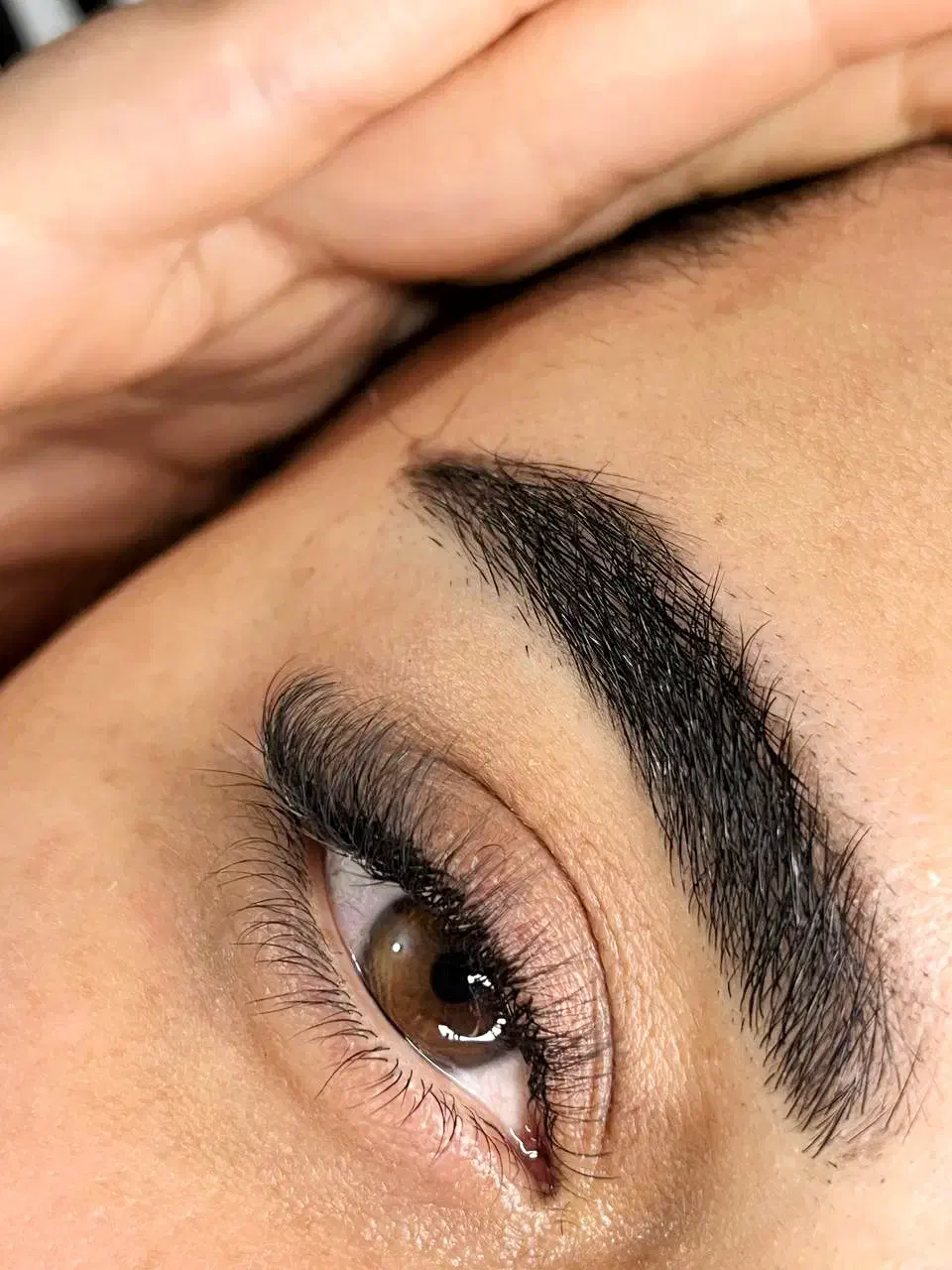 کاشت مژه/تخفیف یلدایی/ همکاری با سالن دارها|خدمات آرایشگری و زیبایی|اردبیل, |دیوار