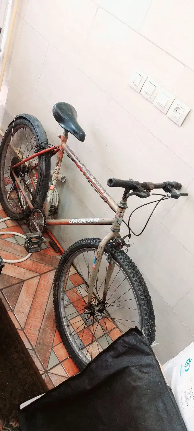 دوچرخه سالم|دوچرخه، اسکیت، اسکوتر|لنگرود, |دیوار