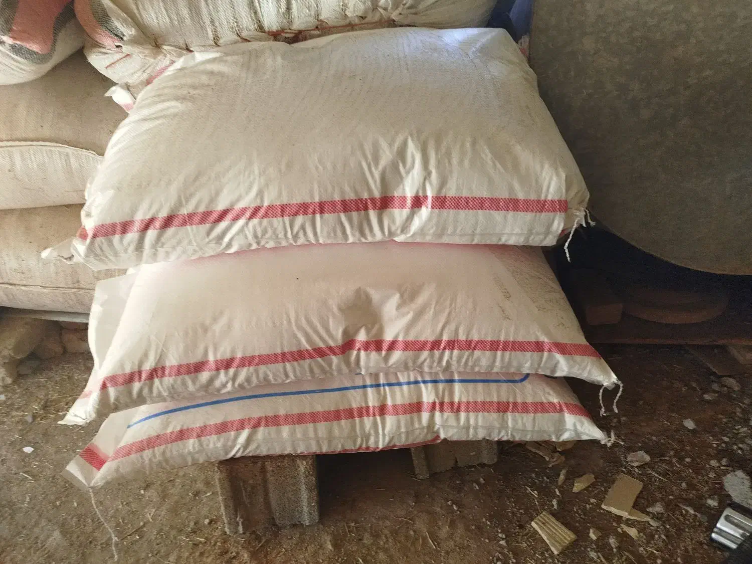 کود سر|گل و گیاه طبیعی|نورآباد, |دیوار