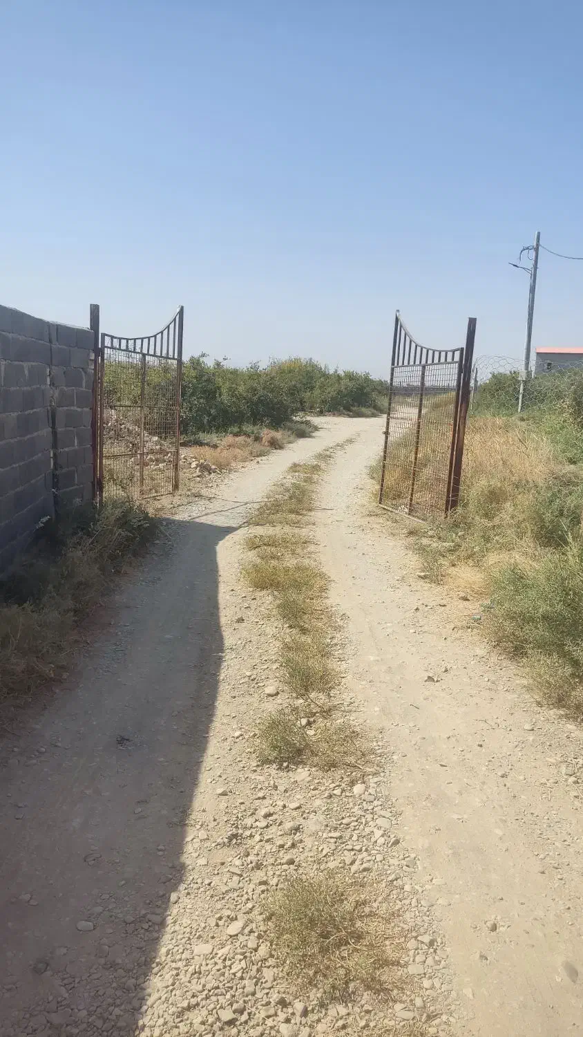 زمین باغ|فروش زمین و ملک کلنگی|قم, محمد آباد|دیوار