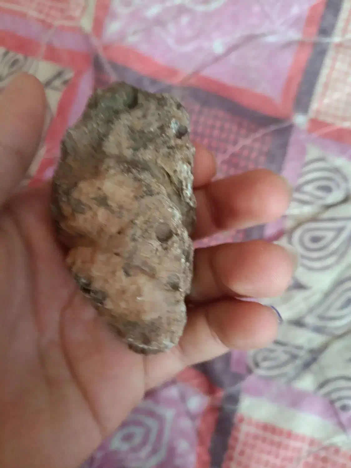 سنگ|بدلیجات|حمیدیا, |دیوار