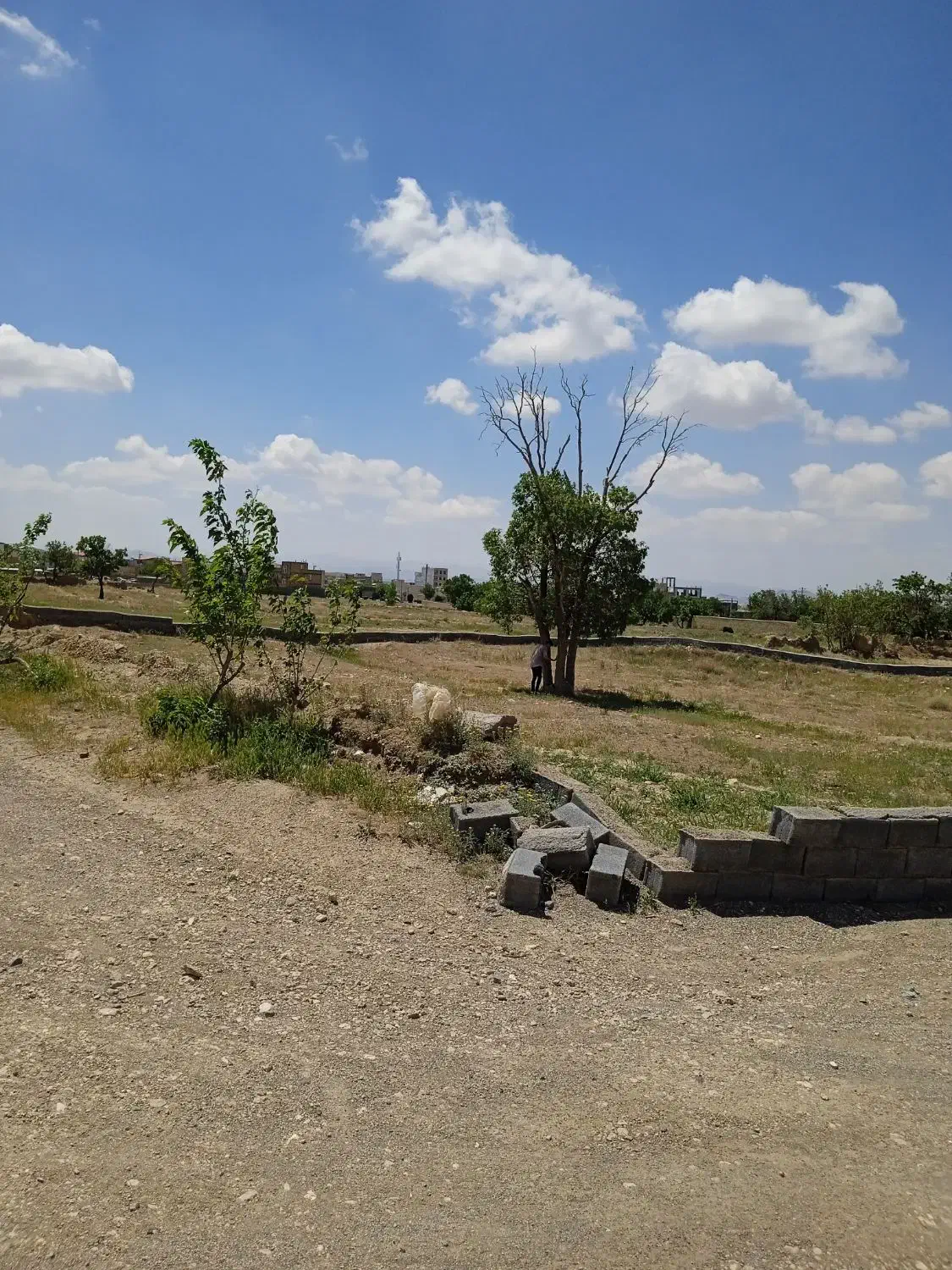 زمین کمیجان1285متری|فروش زمین و ملک کلنگی|کمیجان, |دیوار