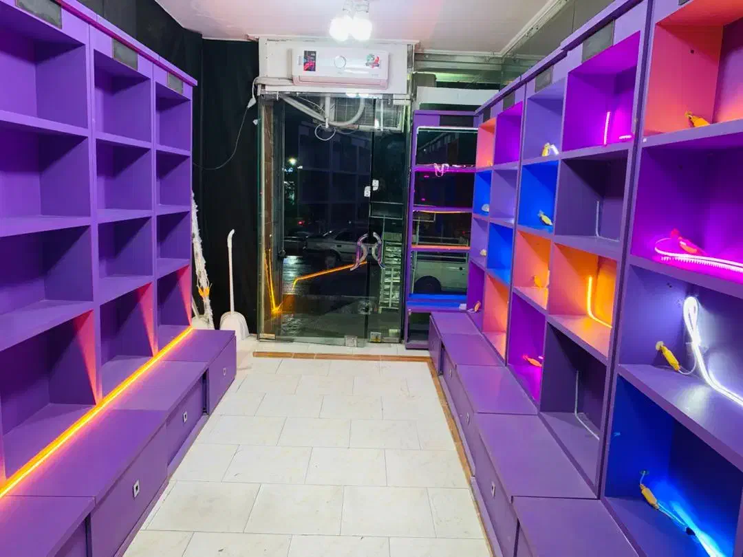 مدرن با نور پرداز|کتابخانه، شلف، قفسه‌های دیواری|بندر کنگان, |دیوار