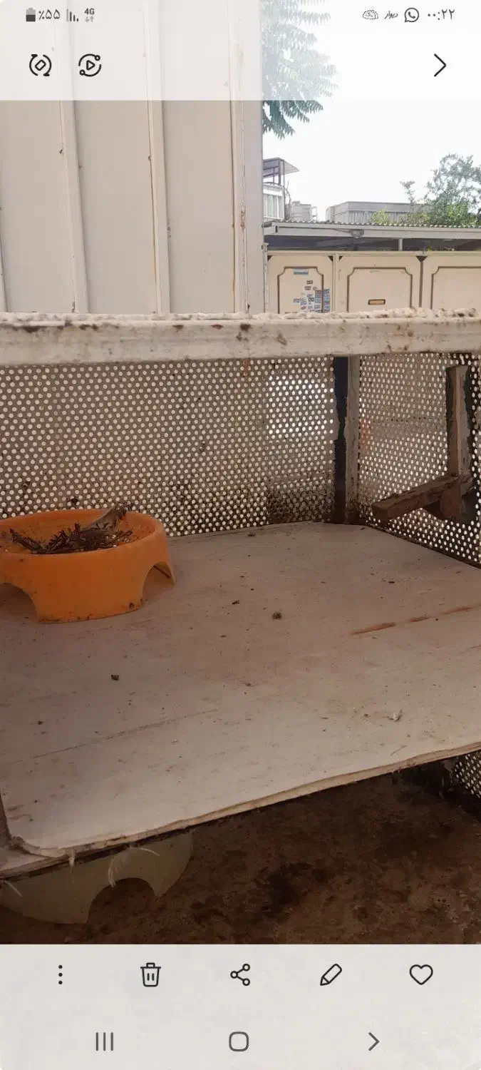 جفتگاه ۶ تایی جفتخون|لوازم جانبی حیوانات|شیراز, پودنک|دیوار