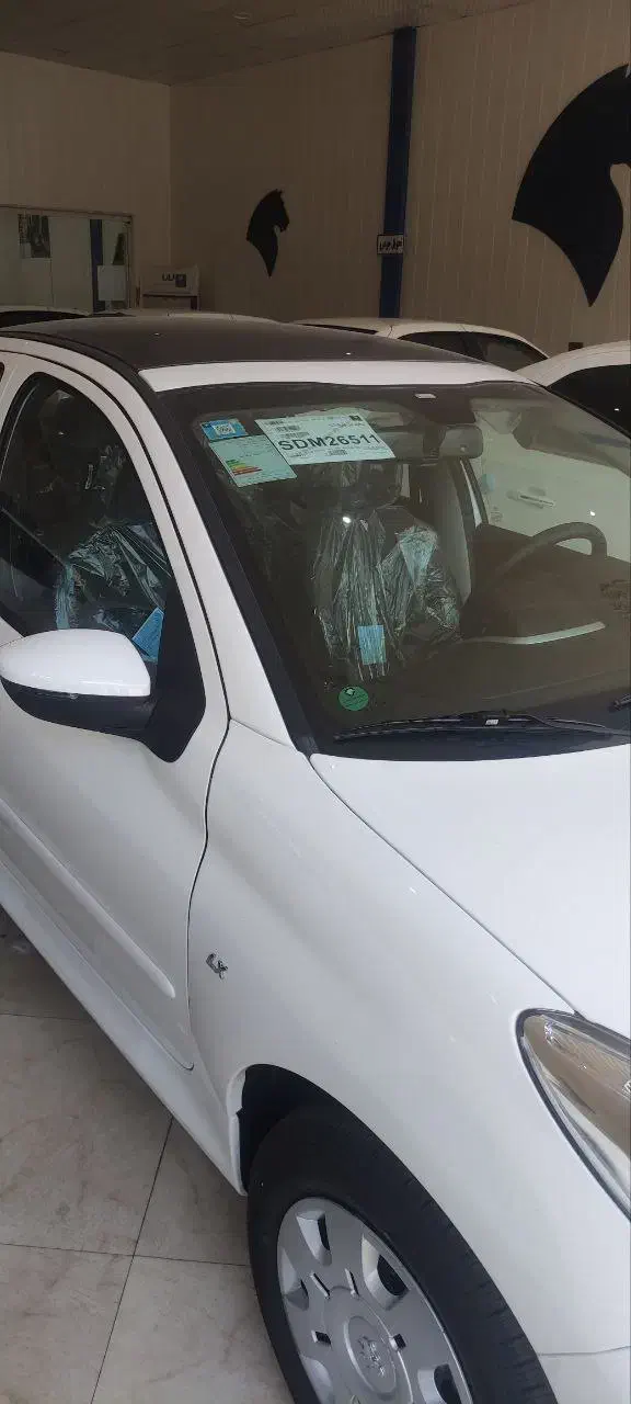 ۲۰۷i Tu5 p پاناروما دنده ای|خودرو سواری و وانت|بم, |دیوار