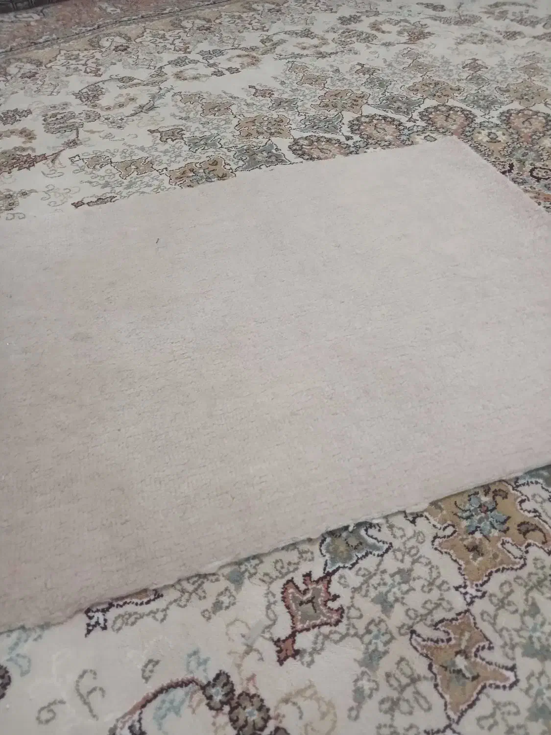 موکت|موکت|گلبهار, شهر جدید گلبهار|دیوار