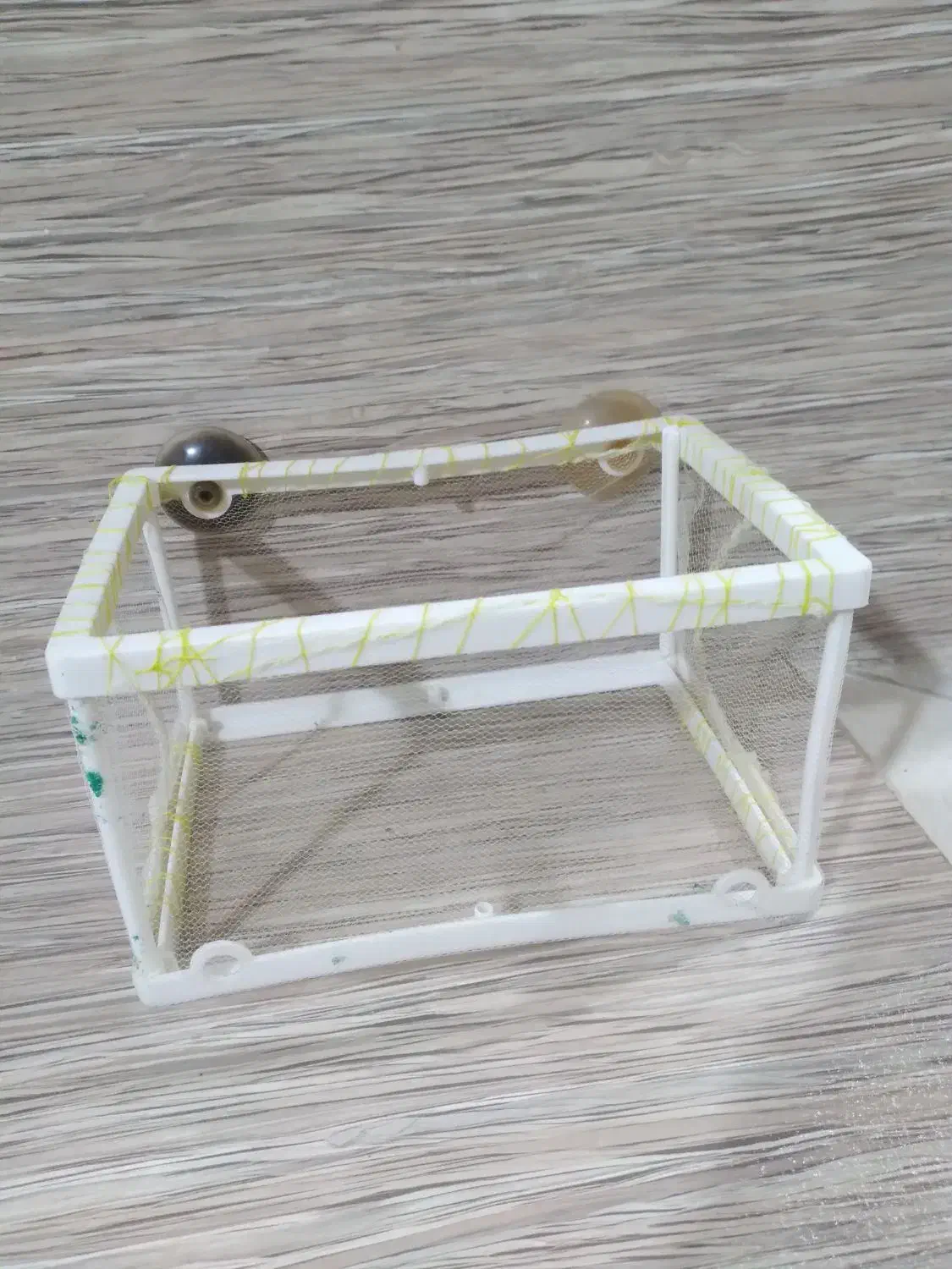 وسایل تزئینات آکواریوم|ماهی|سهند, |دیوار