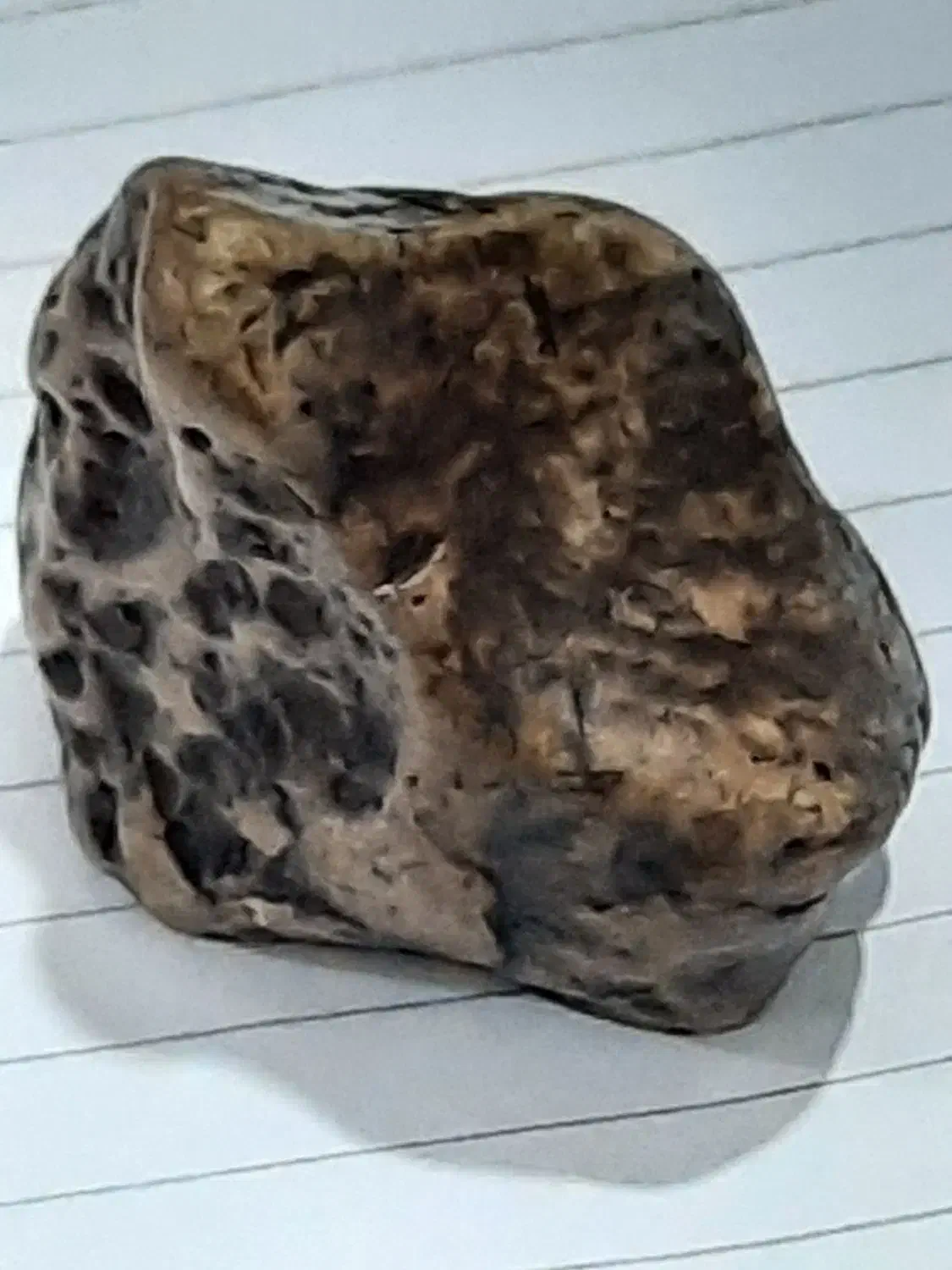 شهاب سنگ|کلکسیون اشیاء عتیقه|مشهد, عبادی|دیوار