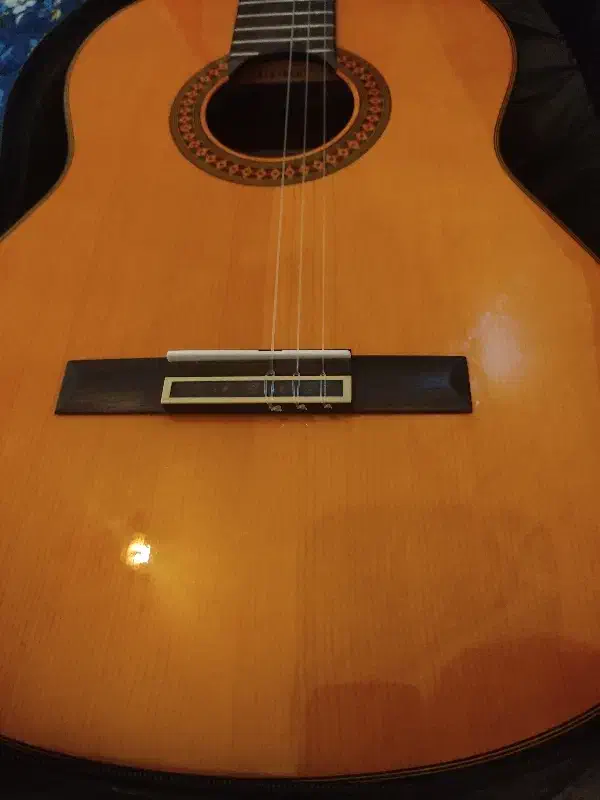 گیتار یاماها سی۸۰ c80|گیتار، بیس، امپلیفایر|سرخرود, |دیوار