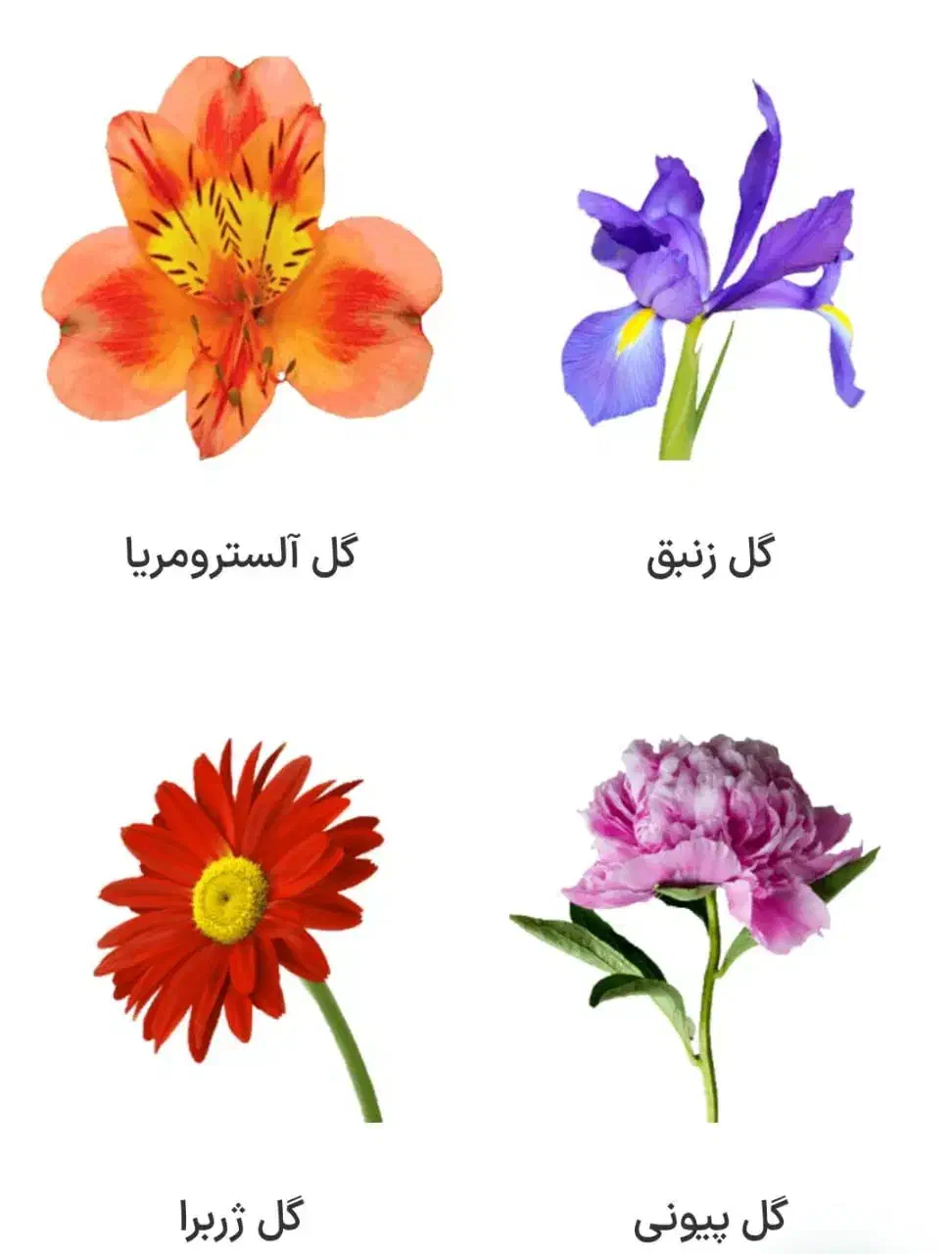 دوره ۲ ماهه گل آرایی با تخفیف ۳ میلیونی اصفهان|خدمات آموزشی|خمینی‌شهر, |دیوار