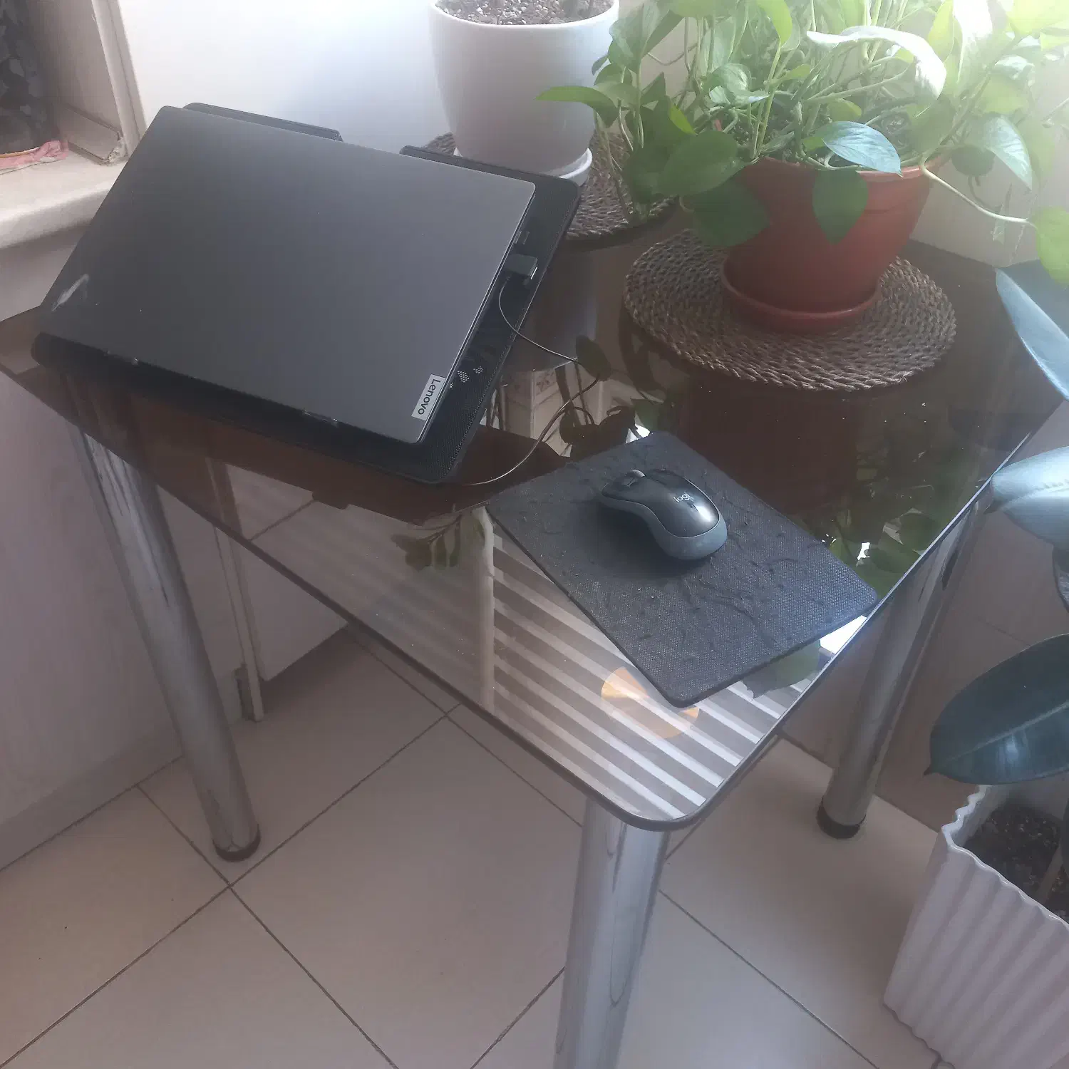 میز ناهارخوری|میز و صندلی غذاخوری|تهران, زرکش|دیوار