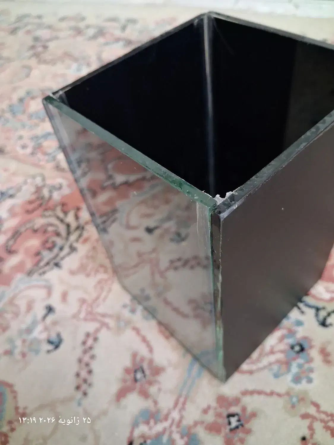 آکواریوم ماهی فایتر|ماهی|قزوین, |دیوار