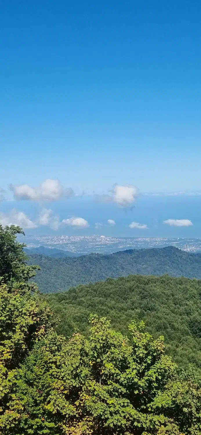 کلاردشت ۲۲۰ متر شهرکی دید جنگل با جواز ساخت|فروش زمین و ملک کلنگی|کلاردشت, |دیوار