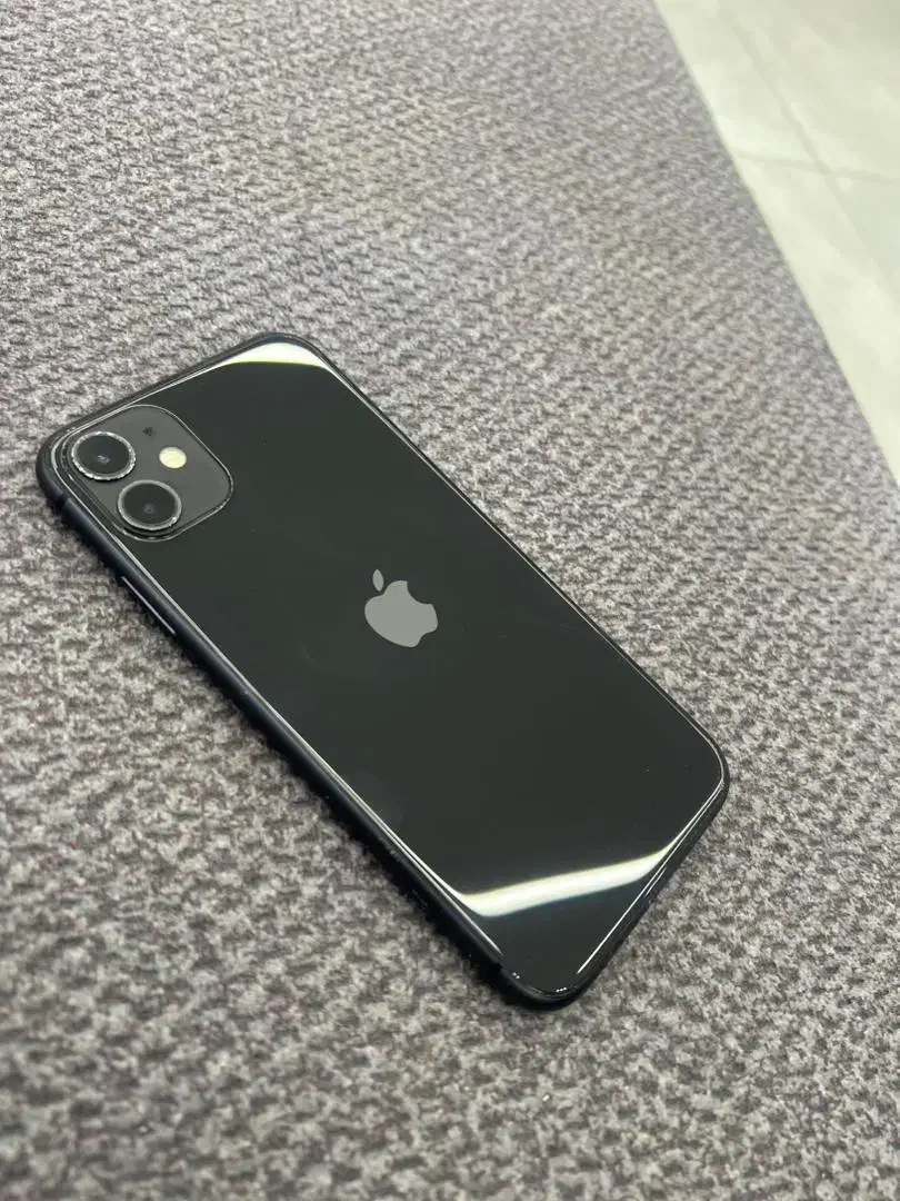 ایفون ۱۱ ۱۲۸ گیگ|موبایل|رشت, کاکتوس|دیوار