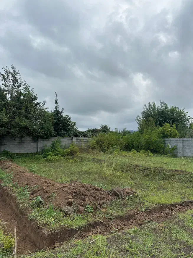 ۲۳۰متر زمین دارای مجوز ساخت|فروش زمین و ملک کلنگی|لیسار, |دیوار