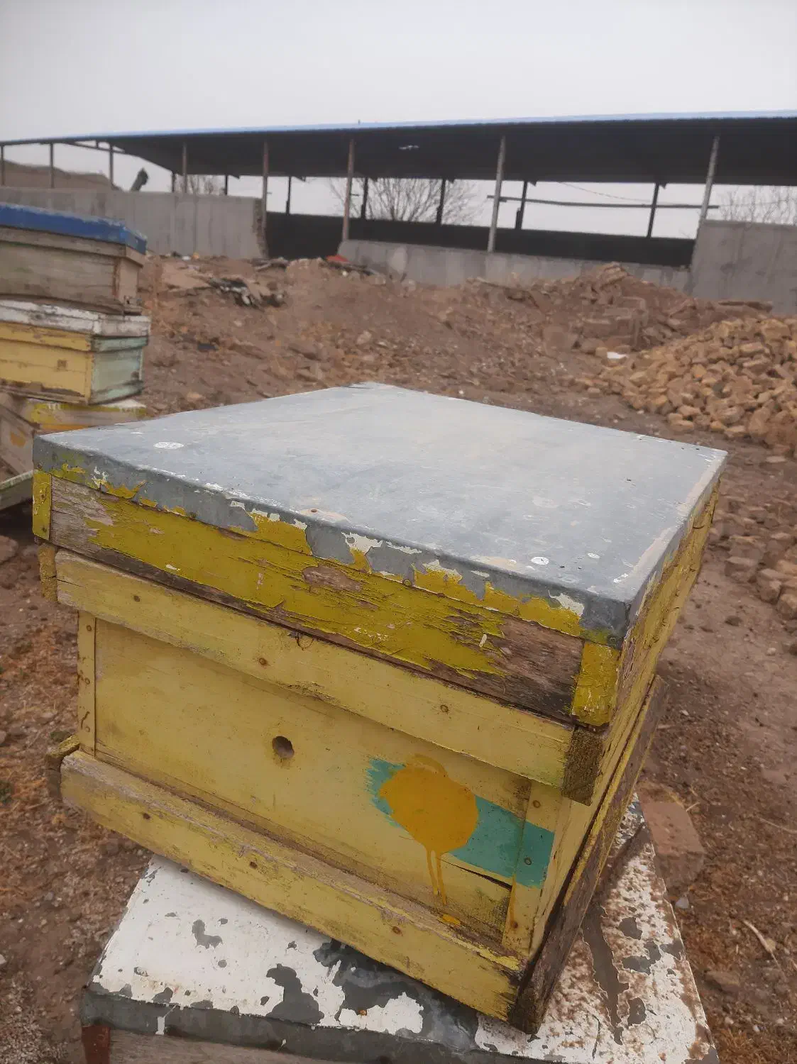 کندوی عسل خالی بدون شکستگی|لوازم جانبی حیوانات|تاکستان, |دیوار