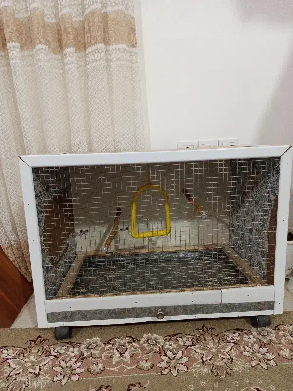 قفس طوطی|لوازم جانبی حیوانات|سمنان, |دیوار