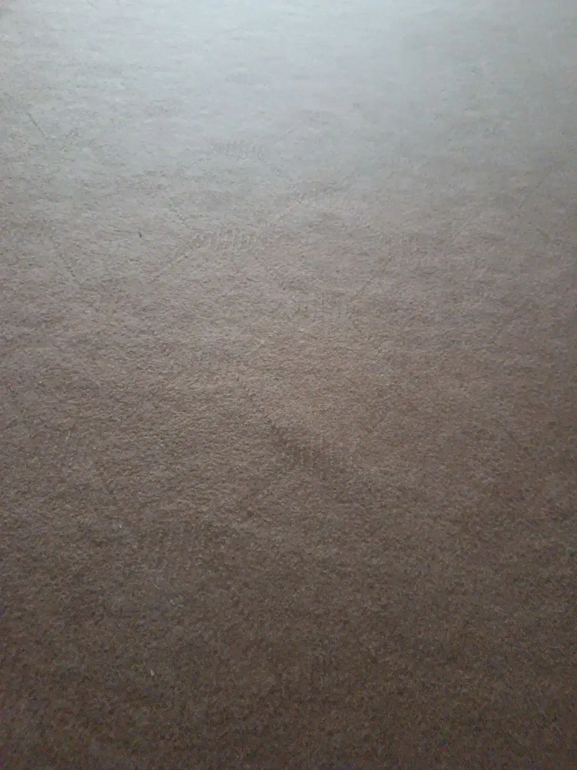 موکت|موکت|قزوین, |دیوار