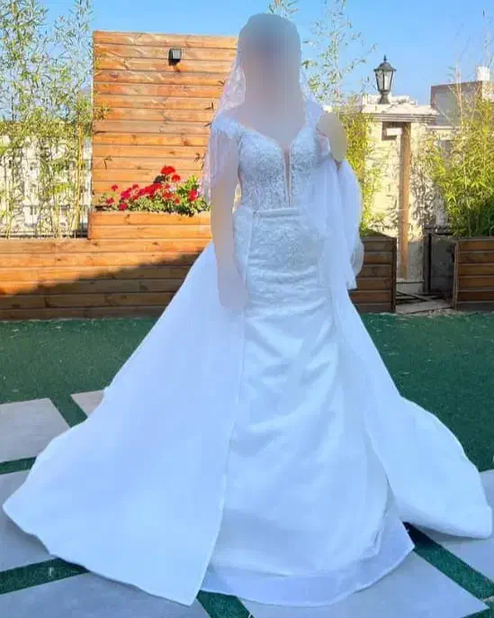 لباس عروس|لباس|ساری, |دیوار