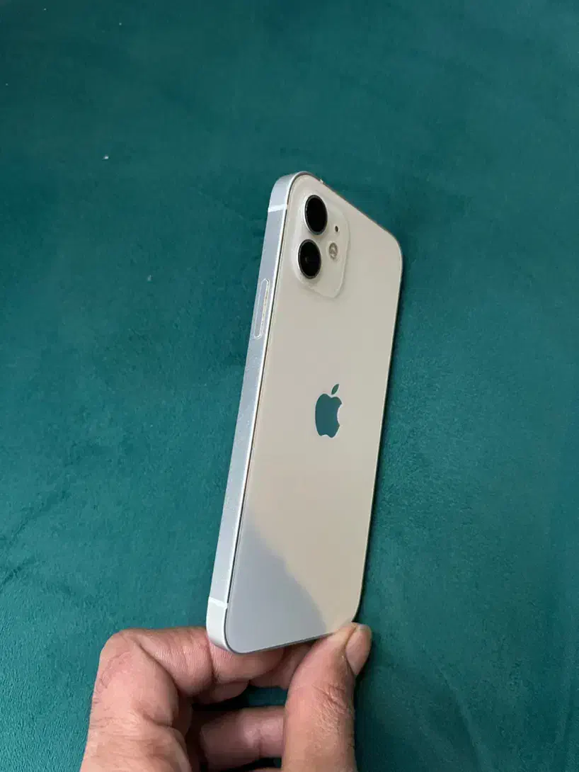 ایفون 12 iphone|موبایل|مشهد, آزادشهر|دیوار