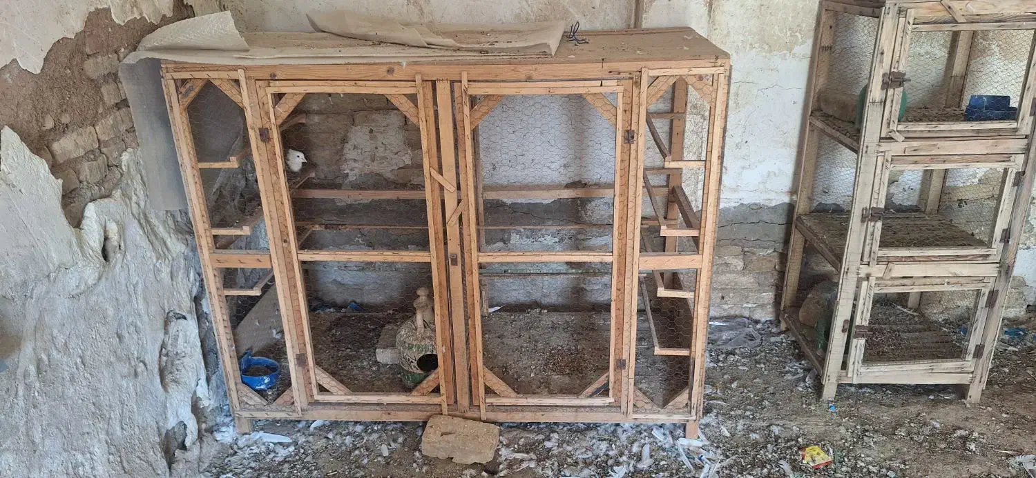 قفس چوبی|لوازم جانبی حیوانات|کاشان, کارخانه سایپا کاشان|دیوار