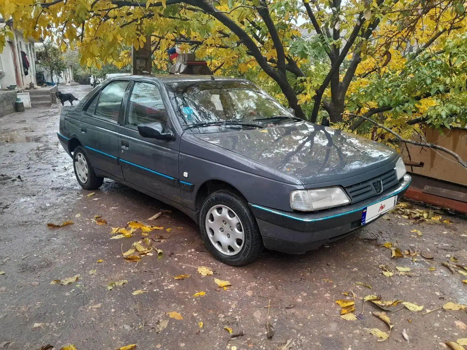فروش  یا معاوضه با تیبا یک.. ۴۰۵ مد ۸۴ دوگانه cnj|خودرو سواری و وانت|الیگودرز, |دیوار