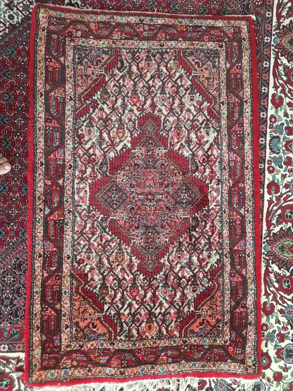 فروش فرش|فرش|فشاپویه, |دیوار