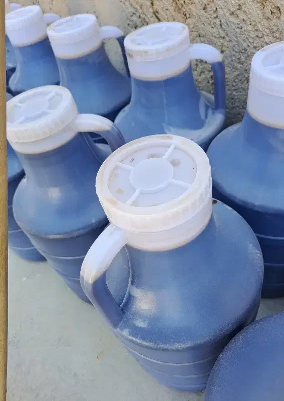 شیره تازه خرما امسال حدود ۴۵۰کیلو|خوردنی و آشامیدنی|وحدتیه, |دیوار