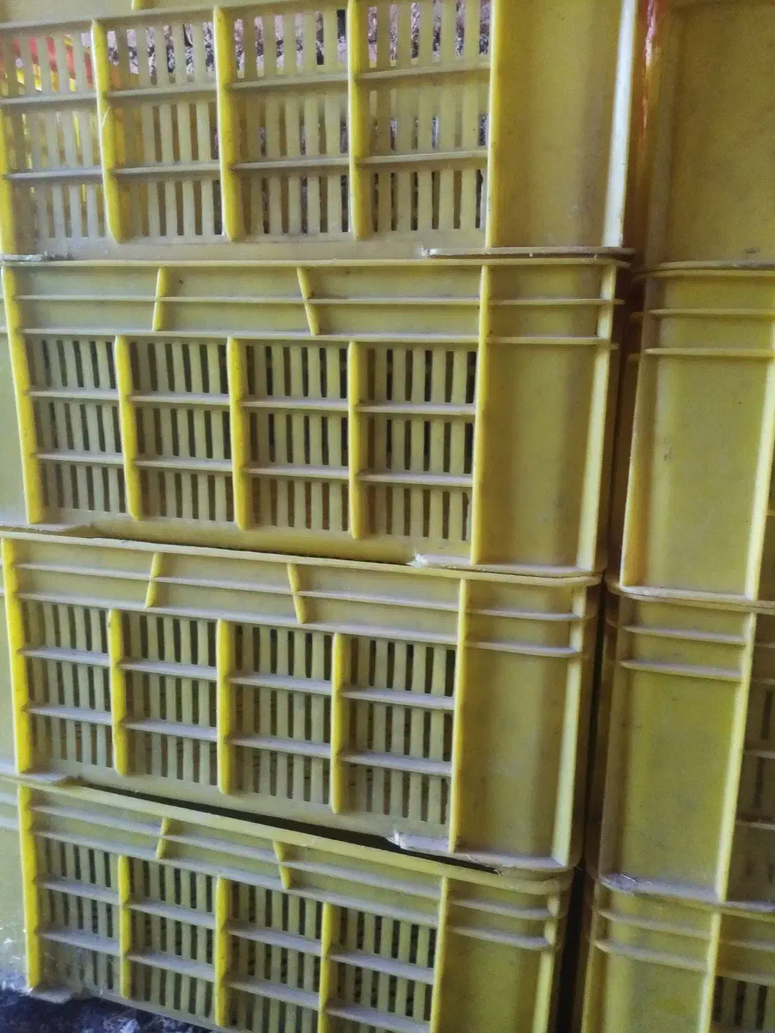 سبد 2 کیلویی|ظروف نگهدارنده، پلاستیکی، یکبارمصرف|انبارآلوم, |دیوار