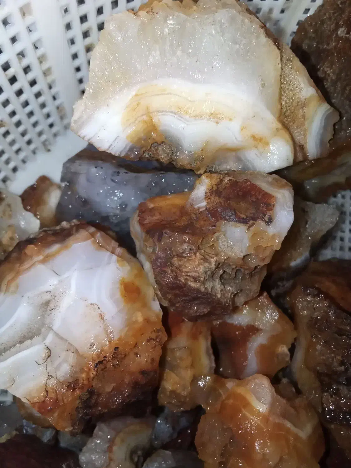 سنگ کلکسیونی|کلکسیون سکه، تمبر، اسکناس|مشهد, کوی دروی|دیوار