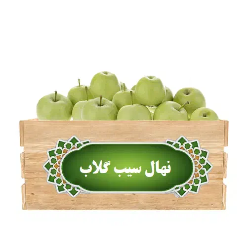 پیش فروش نهال هلو و شلیل ، سیب ، گلابی|گل و گیاه طبیعی|سمیرم, |دیوار