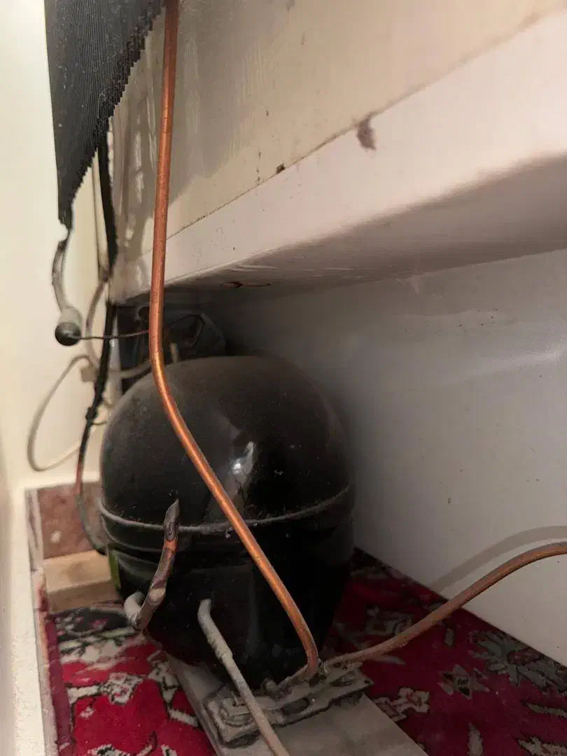 فریزر پارس|یخچال و فریزر|تبریز, |دیوار