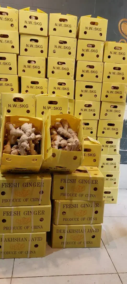 فروش ویژه مخصوص|عمدهفروشی|شیراز, حومه شیراز|دیوار