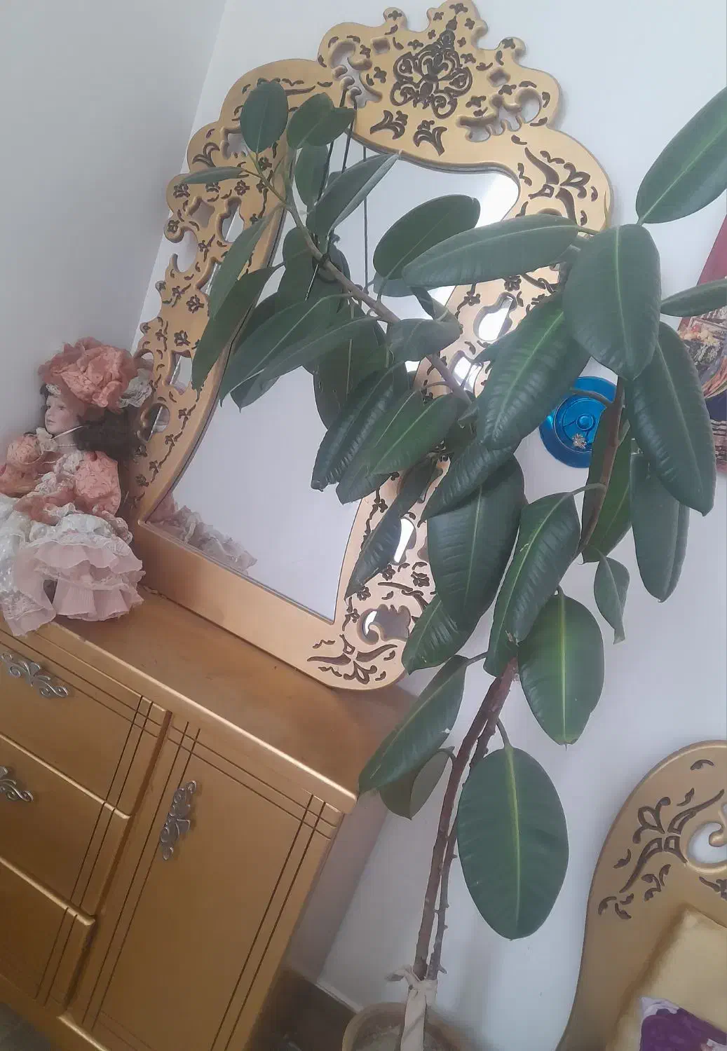 کل وگیاه|گل و گیاه طبیعی|ایلخچی, |دیوار